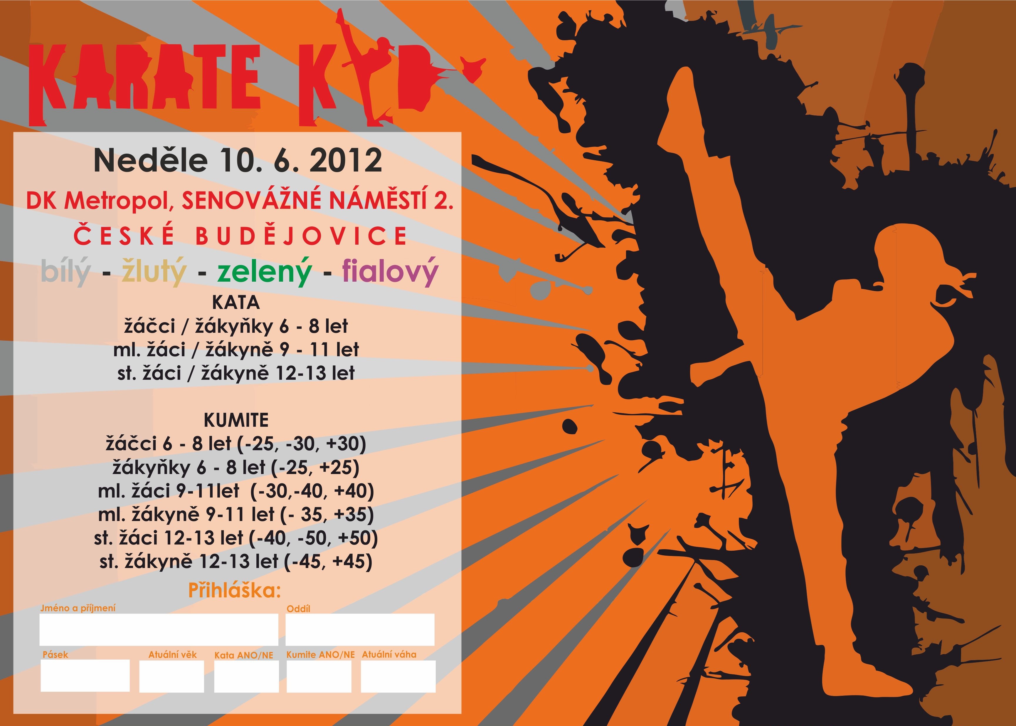 Karate Kid Cup 2012